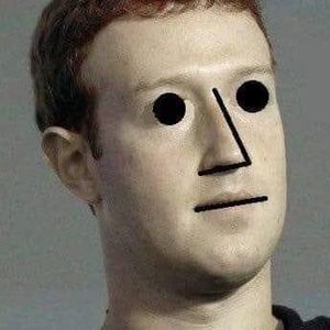 Meet your Posher, Beau